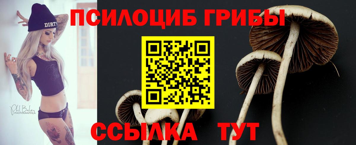 Псилоцибиновые грибы GOLDEN TEACHER Сланцы